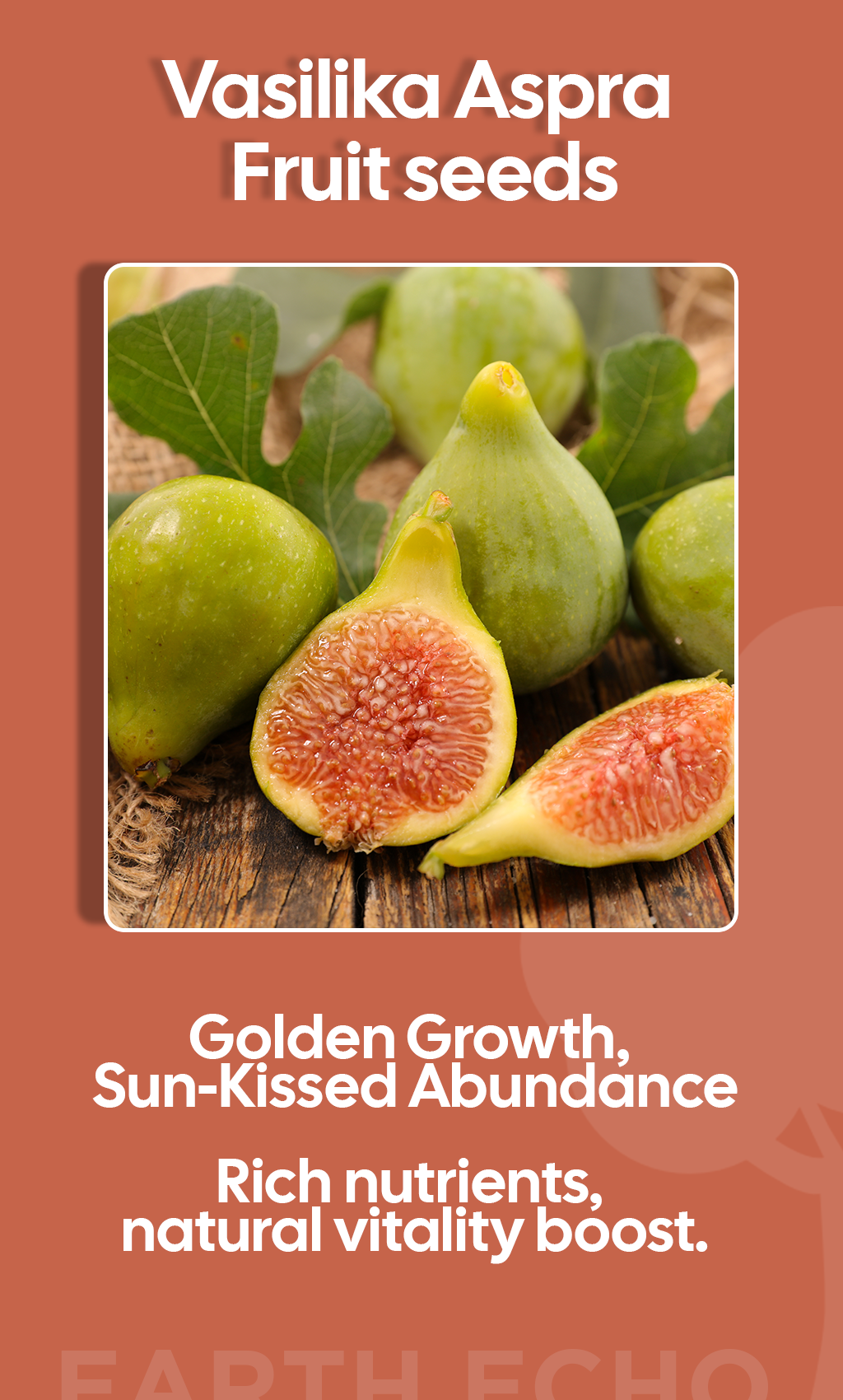 Vasilika Aspra Seeds: Plant Hope, Harvest Wellness This Winter