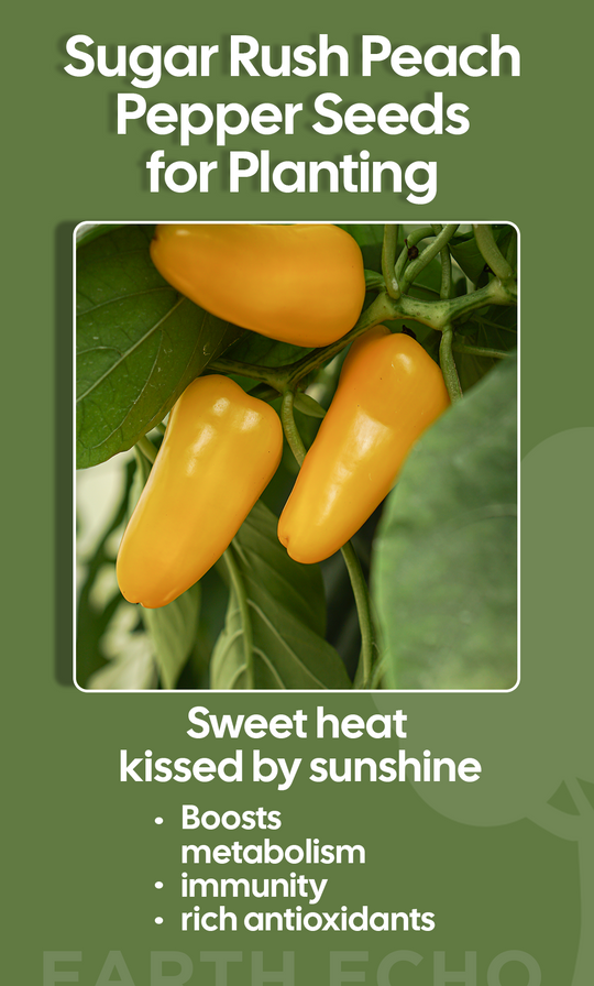 Spice Up Your Garden: Sugar Rush Peach Pepper Seeds for Winter Planting