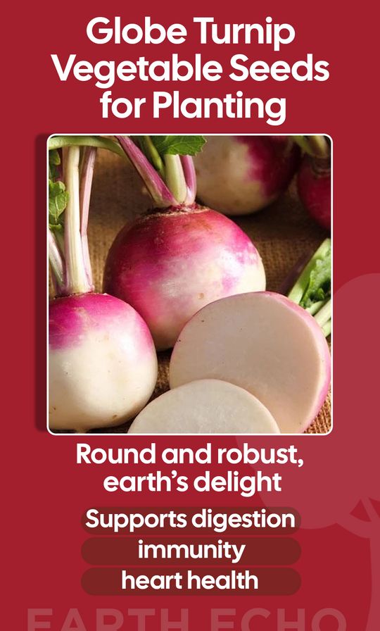 🌱 Grow Comfort This Winter with Globe Turnip Vegetable Seeds