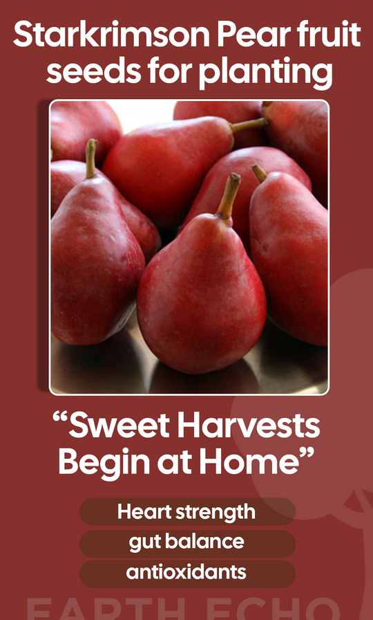 From Seed to Sweetness: Grow Starkrimson Pears That Warm the Winter Soul