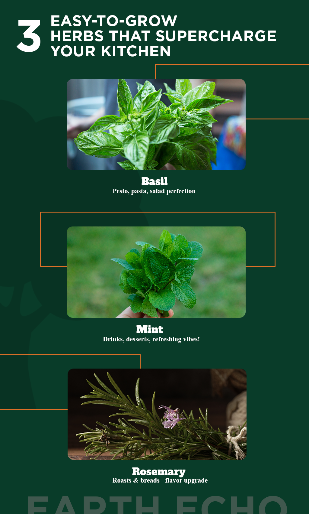 Grow Flavor at Home: 3 Easy Kitchen Herbs Anyone Can Grow