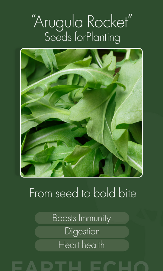 Grow Fresh Flavor This Winter: Arugula Rocket Seeds for Fast, Healthy Harvests