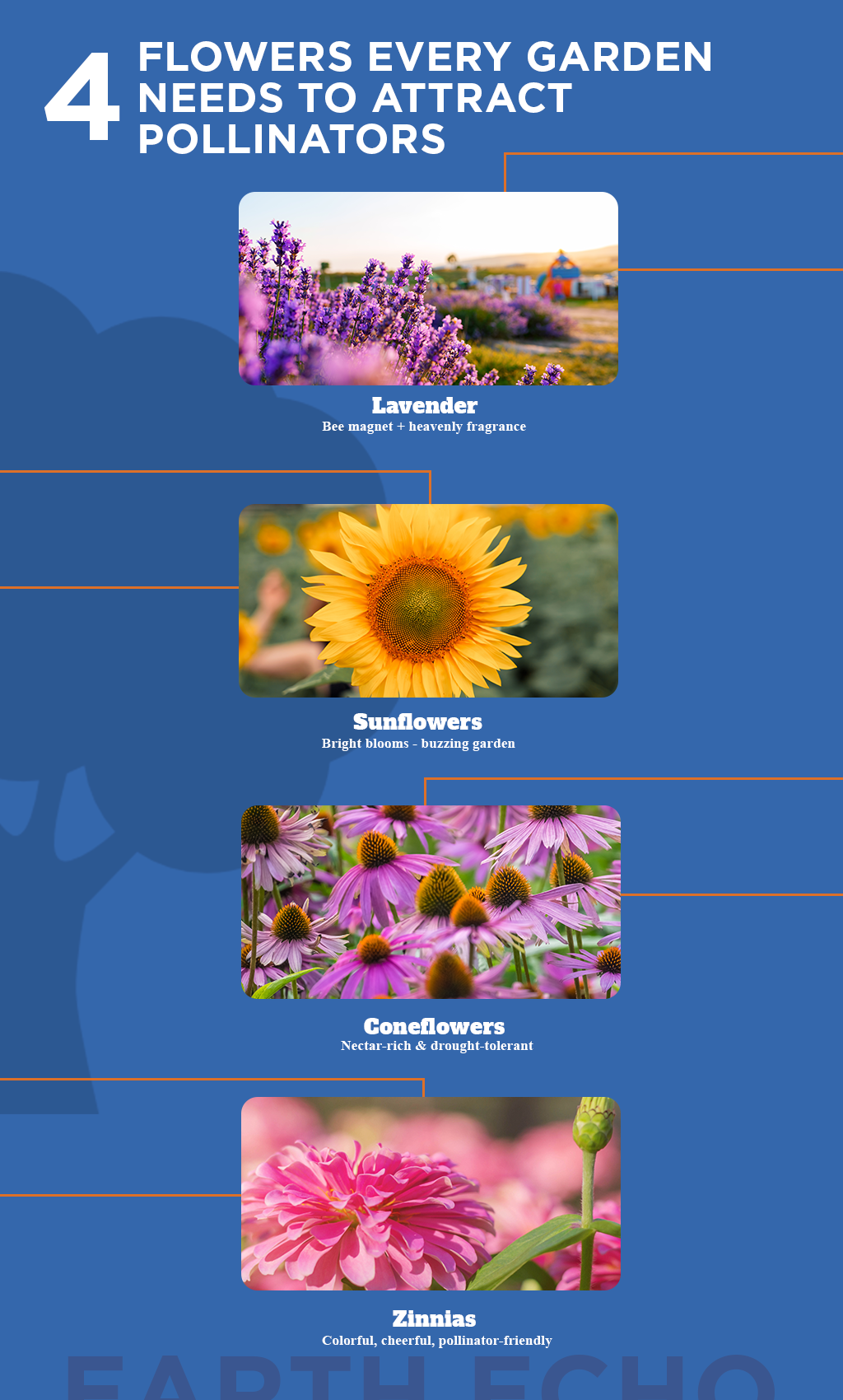 Bring Your Garden to Life: 4 Pollinator-Friendly Flowers You’ll Love