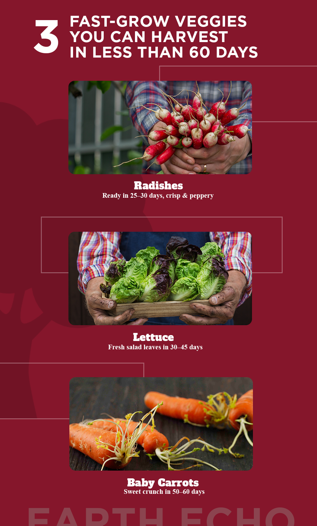 Grow fresh, healthy, and home-harvested goodness faster than you ever imagined.