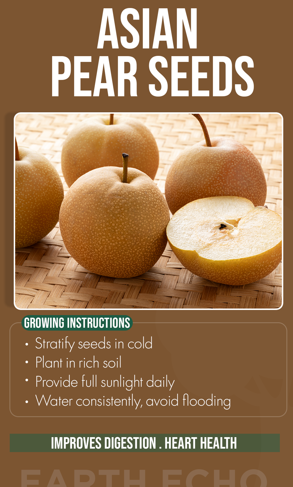 Sweet Summer Beginnings: Grow Crisp Asian Pears in Your Backyard