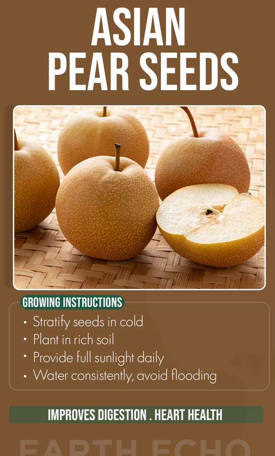 Sweet Summer Beginnings: Grow Crisp Asian Pears in Your Backyard