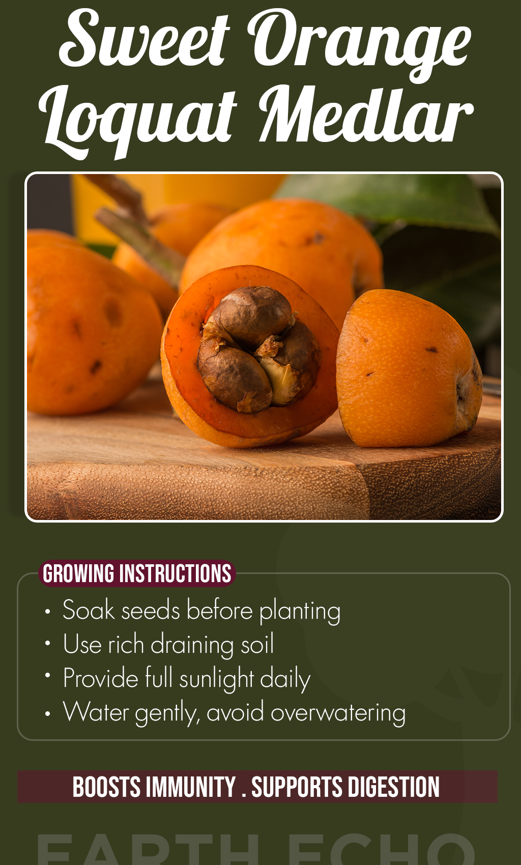 Grow Golden Summer Harvests: Orange Loquat Medlar Seeds for a Thriving Home Garden