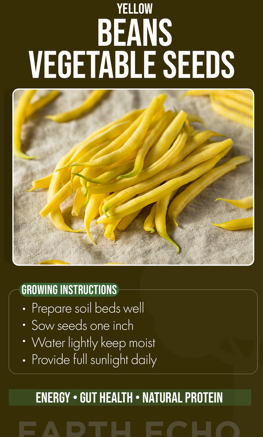 Harvest Sunshine in Every Pod: Grow Fresh Yellow Beans in Your Summer Garden