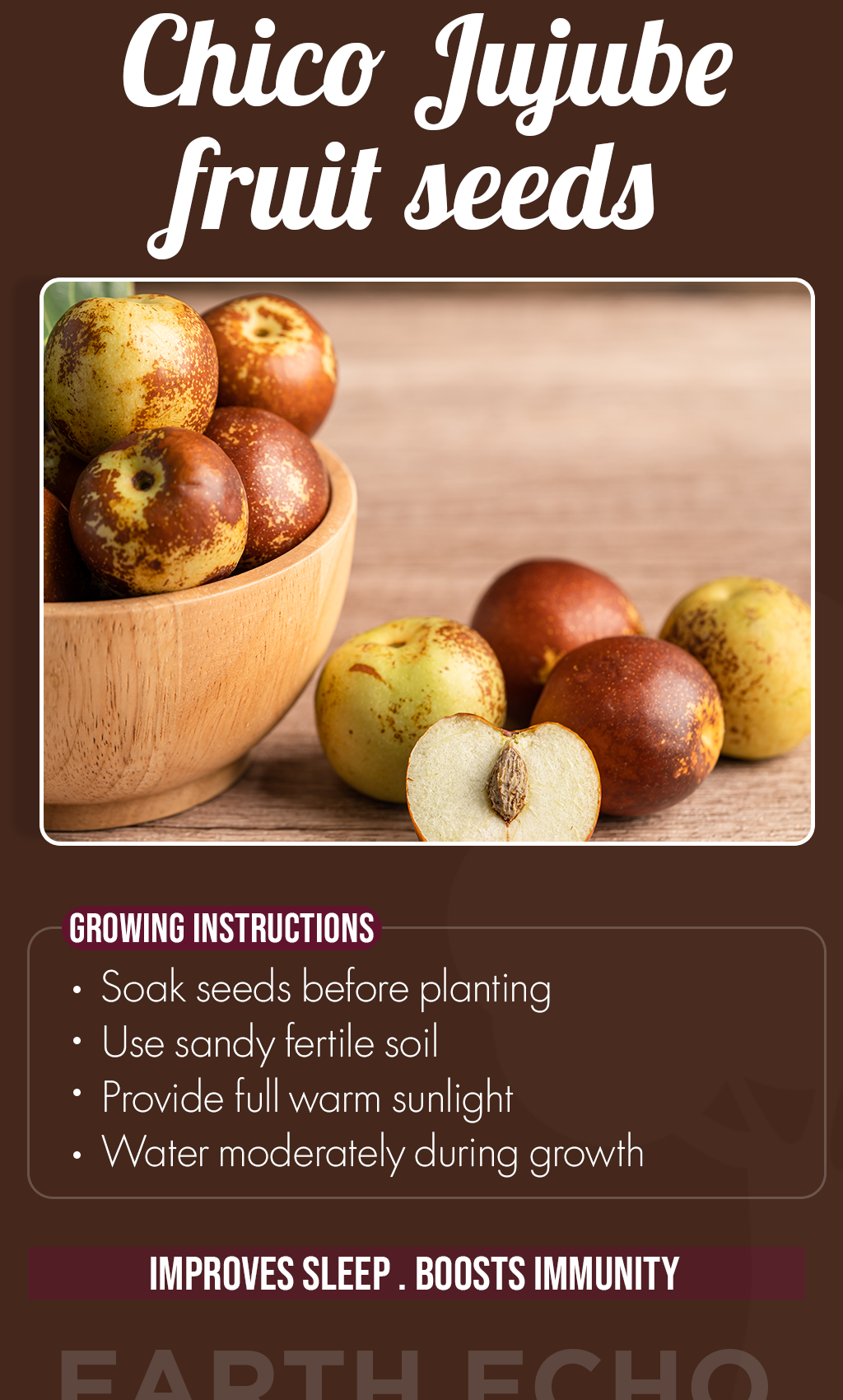 Discover Nature’s Sweet Treasure: Grow Chico Jujube Trees for Delicious Summer Harvests