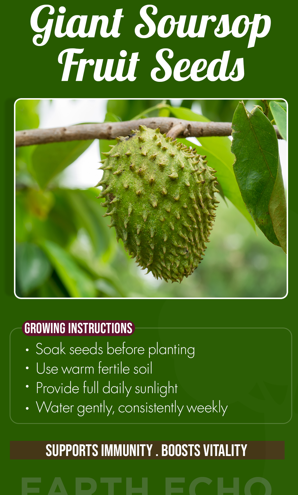 Grow a Tropical Dream at Home: Giant Soursop Fruit Seeds for a High-Yield Summer Garden