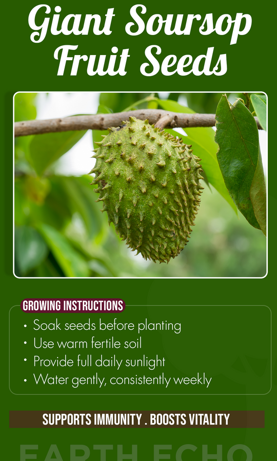 Grow a Tropical Dream at Home: Giant Soursop Fruit Seeds for a High-Yield Summer Garden