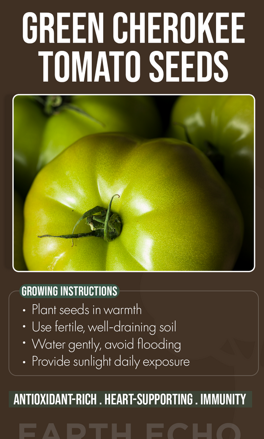A Winter Garden Secret: Grow Green Cherokee Tomatoes for Flavor Like No Other