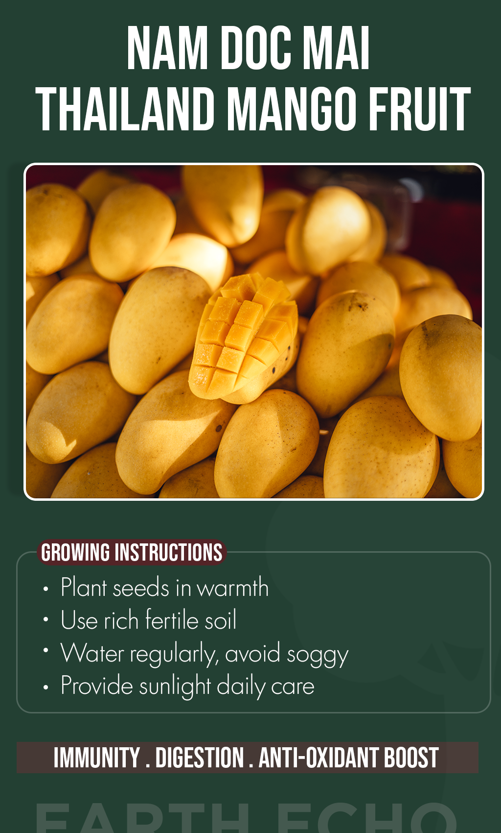 Bring a Taste of Thailand Home: Grow Nam Doc Mai Mango Seeds This Winter