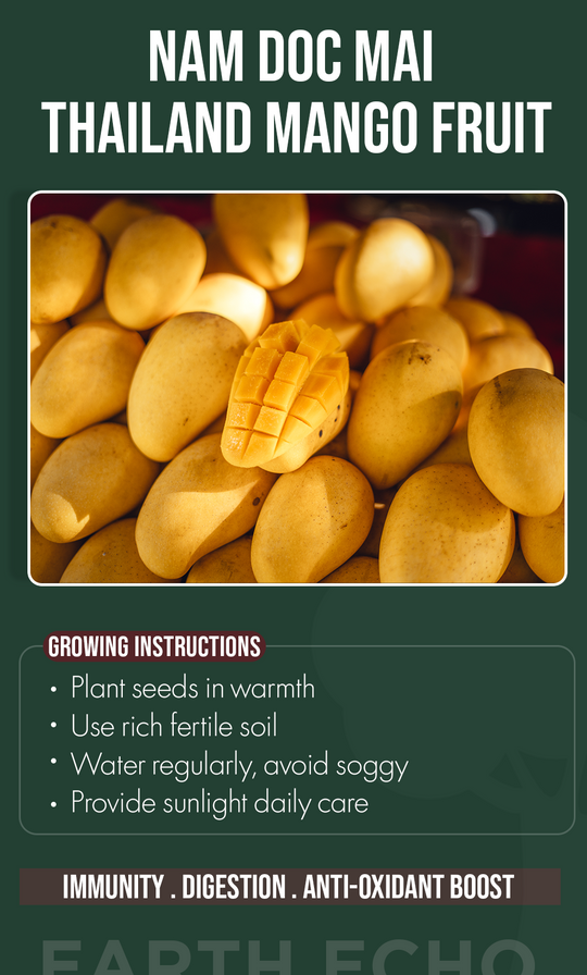 Bring a Taste of Thailand Home: Grow Nam Doc Mai Mango Seeds This Winter