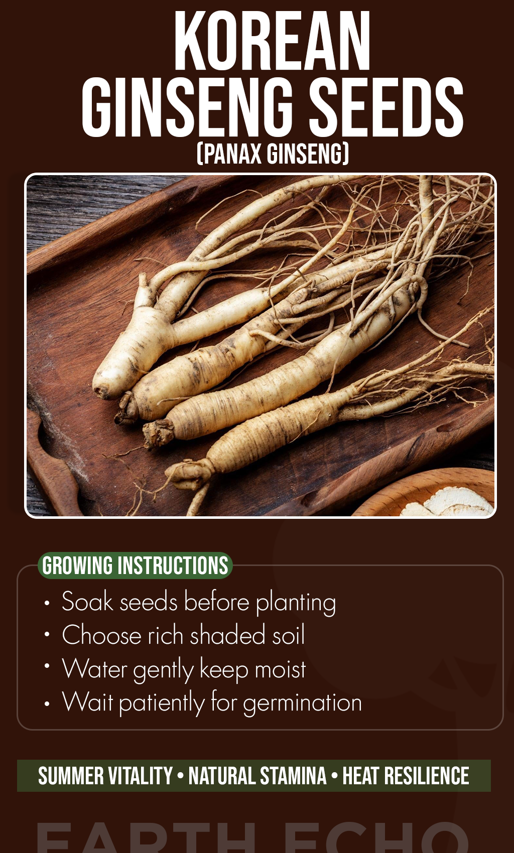 Grow a Timeless Garden Treasure: Plant Korean Ginseng Seeds and Cultivate Nature's Finest Roots