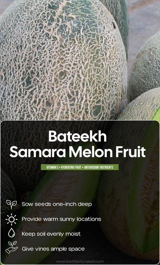 Taste the Sweetness of Summer: Grow Bateekh Samara Melons in Your Own Garden