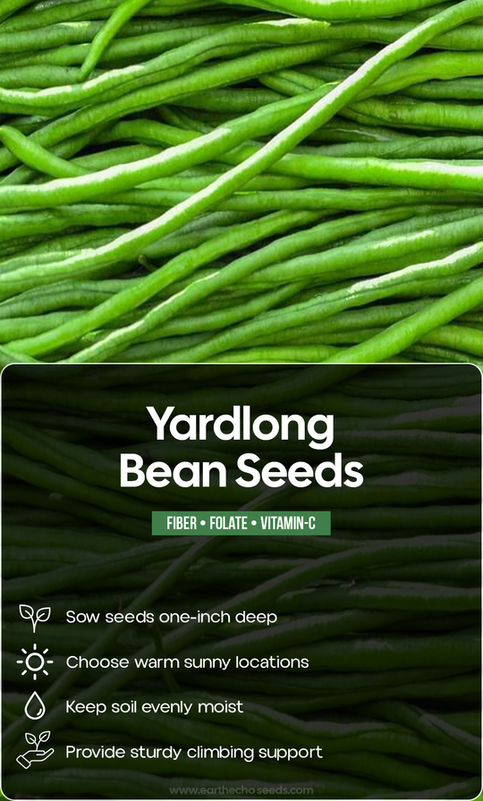 Grow Something Worth Sharing: A Summer Garden Filled with Fresh Yardlong Beans