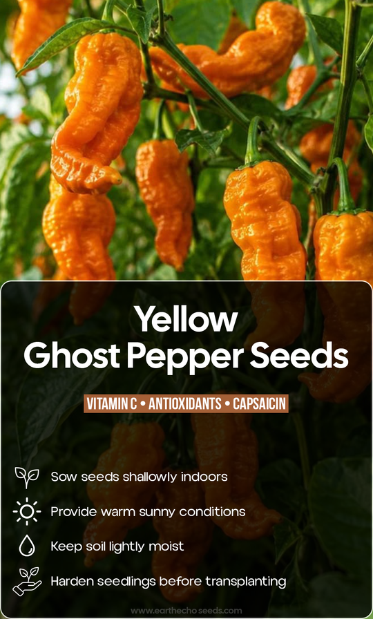 Turn Up the Summer Garden: Grow Fiery Yellow Ghost Peppers from Seed