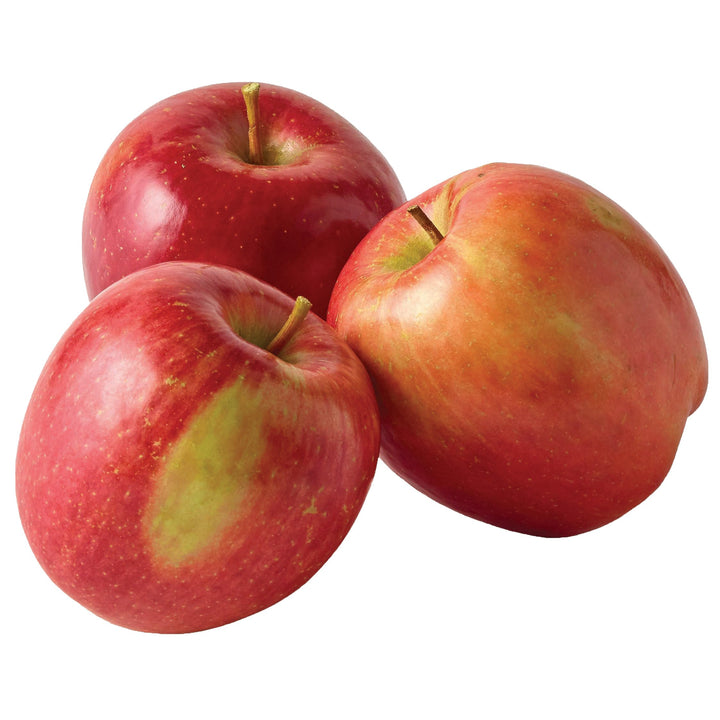 Japanese Fuji Apple Fruit seeds for planting – Heirloom & Non-GMO Garden seeds