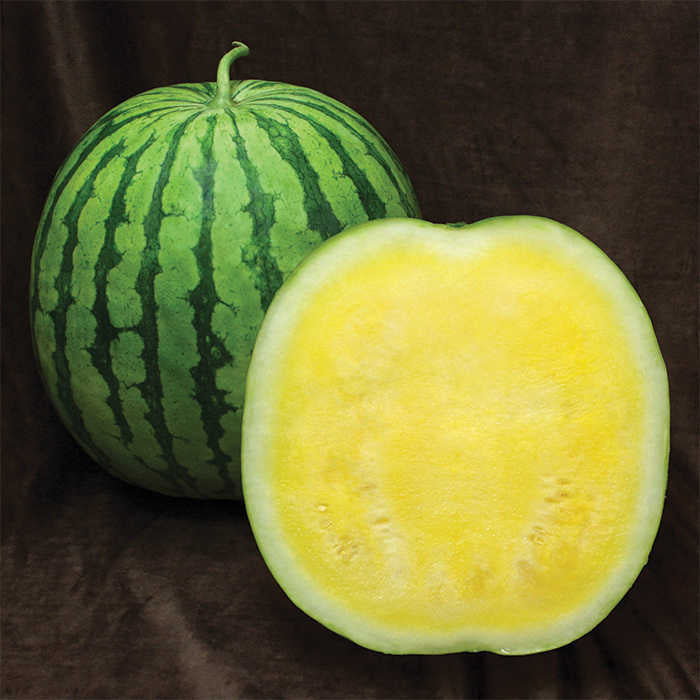 Buttercup Watermelon Fruit Seeds for Planting – Heirloom, Non-GMO, Refreshing Garden Delight Seeds