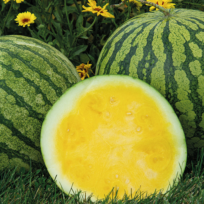 Fruit Seeds,Garden seeds, Seeds For Planting,Plant Seeds