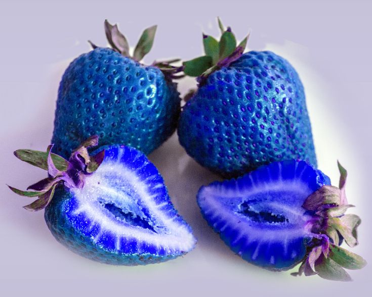 SkyBlue Strawberry Fruit Seeds for Planting – Heirloom, Non-GMO Vibrant Sweet Garden Berry Seeds