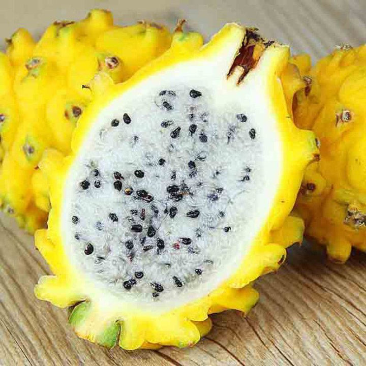 Yellow Pitaya Fruit seeds – Heirloom, Non-GMO seeds for Planting in Bright Tropical Gardens