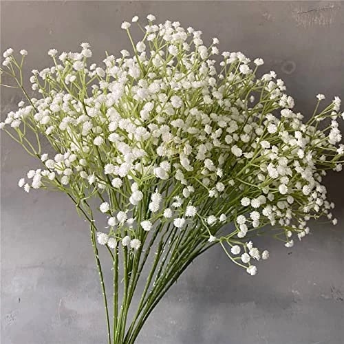 White Gypsophila Flower Seeds for Planting – Heirloom, Non-GMO, Easy to Grow Organic Garden Seeds