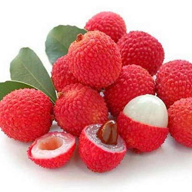 Bright Red Lychee Fruit seeds – Heirloom, Non-GMO Seeds for Planting Juicy Backyard Delights
