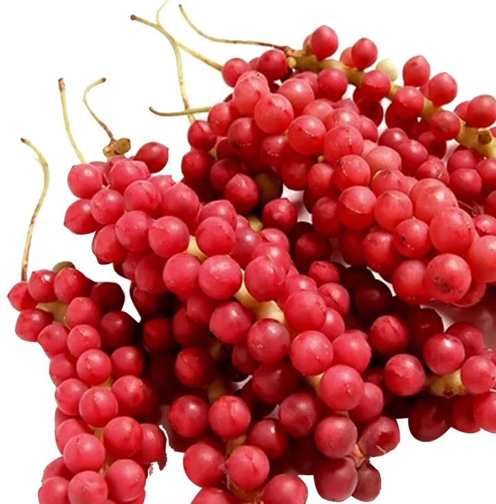 Fruit Seeds,Garden seeds, Seeds For Planting,Plant Seeds