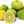 Yellow Sweet Lime Fruit seeds – Heirloom, Non-GMO seeds for Planting Refreshing Citrus Garden Fruits