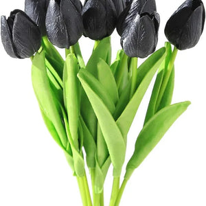 Flower Seeds, Seeds,Seeds For Planting,Plant Seeds