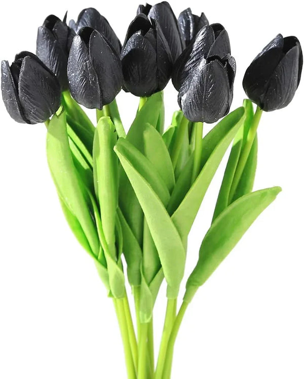 Flower Seeds, Seeds,Seeds For Planting,Plant Seeds
