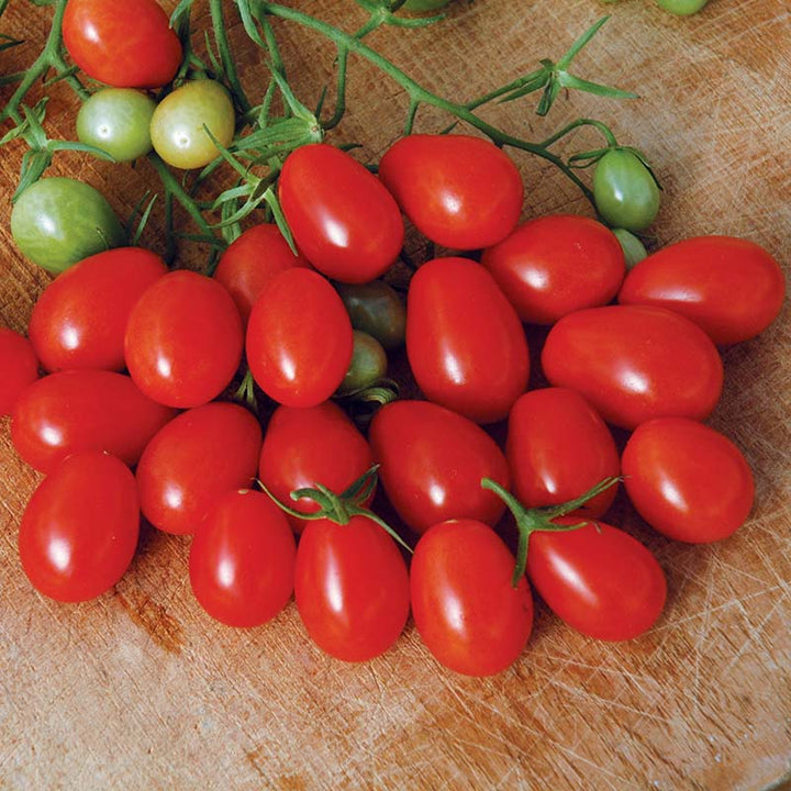 Red Black Tomato Vegetable Seeds for Planting – Heirloom, Non-GMO Seeds