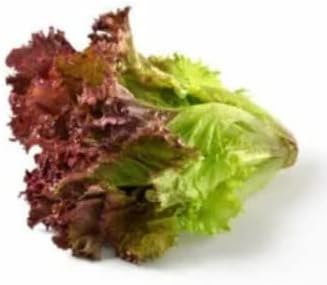 Vegetable Seeds,Garden seeds, Seeds For Planting,Plant Seeds