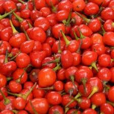 Vegetable Seeds,Garden seeds, Seeds For Planting,Plant Seeds