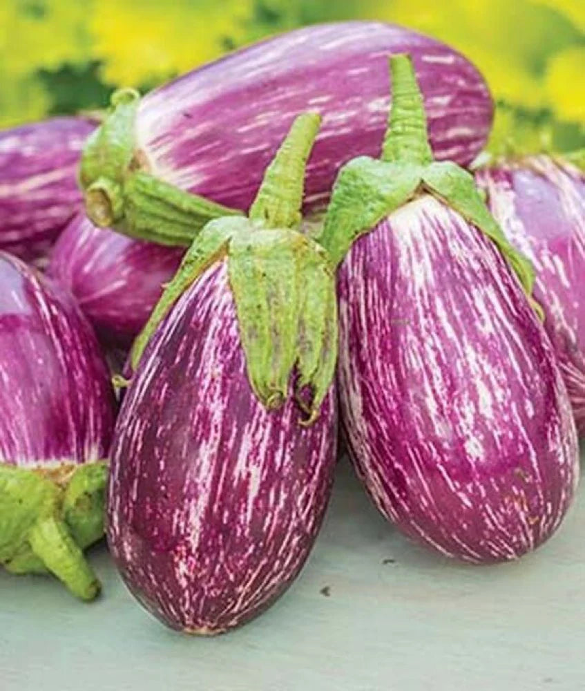 Vegetable Seeds,Garden seeds, Seeds For Planting,Plant Seeds