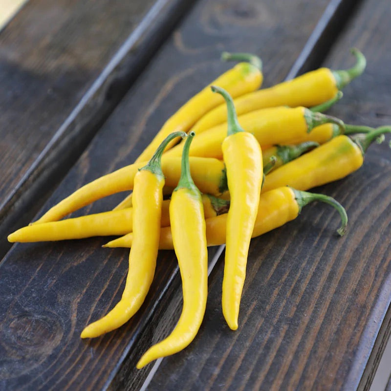 Yellow Bedder Macedonian Pepper Seeds for Planting – Heirloom, Non-GMO, Mild Sweet Pepper