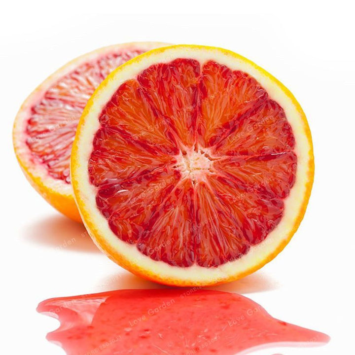 Red Lemon Fruit Seeds – Heirloom, Non-GMO Seeds for Sweet Tangy Citrus Garden Harvest