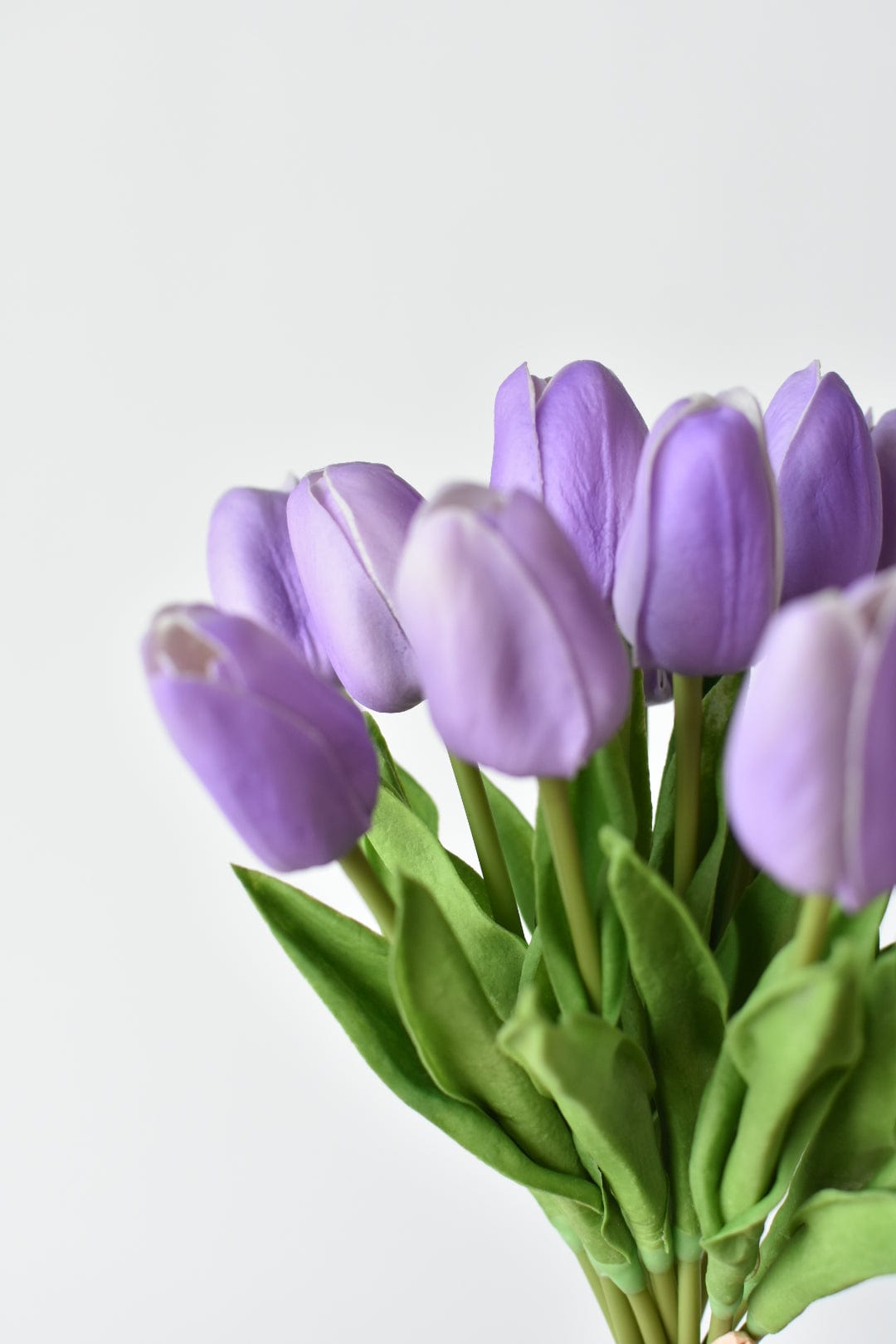 Light Purple Tulip Flower Seeds for Planting – Heirloom, Non-GMO, High Germination Organic Garden Seeds