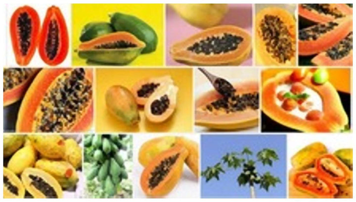 Mixed Papaya fruit seeds for planting - Heirloom & Non-GMO Garden seeds