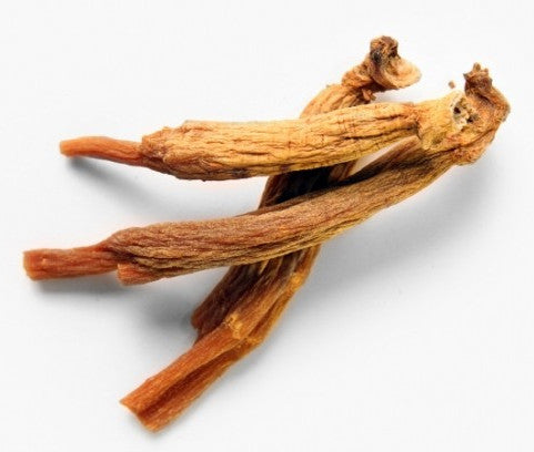 Red Ginsenoside Herb Seeds – Heirloom, Non-GMO Seeds for Garden Planting with Rich Aroma