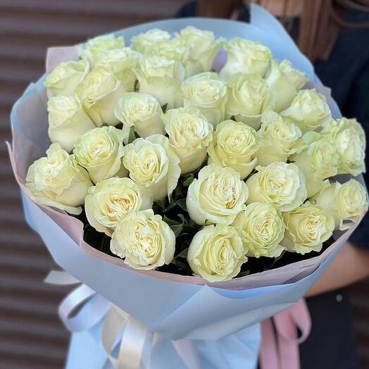White Holland Rose Flower Seeds for Planting – Wildflower Mix, Heirloom & Non-GMO Seeds for Home Garden