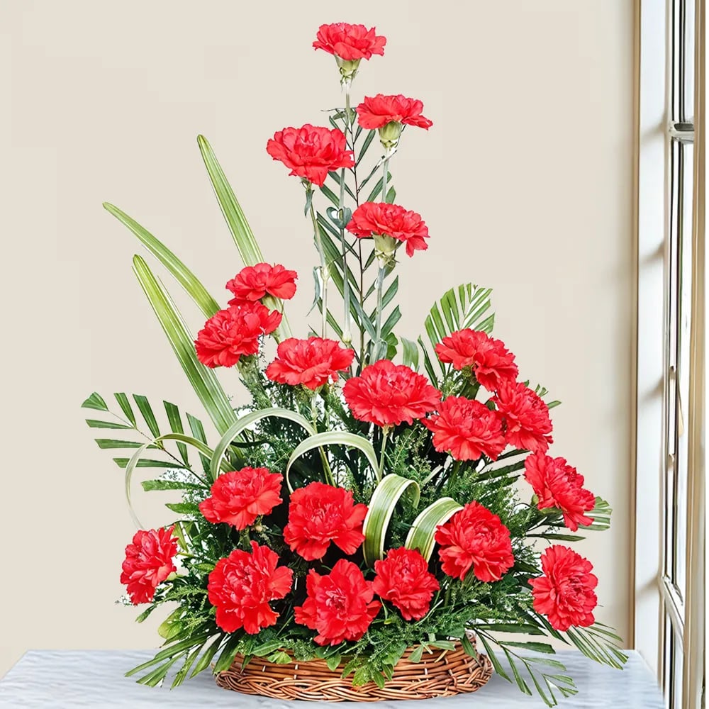 Carnations Flower Seeds for Planting – Heirloom, Non-GMO, High Germination Organic Garden Seeds
