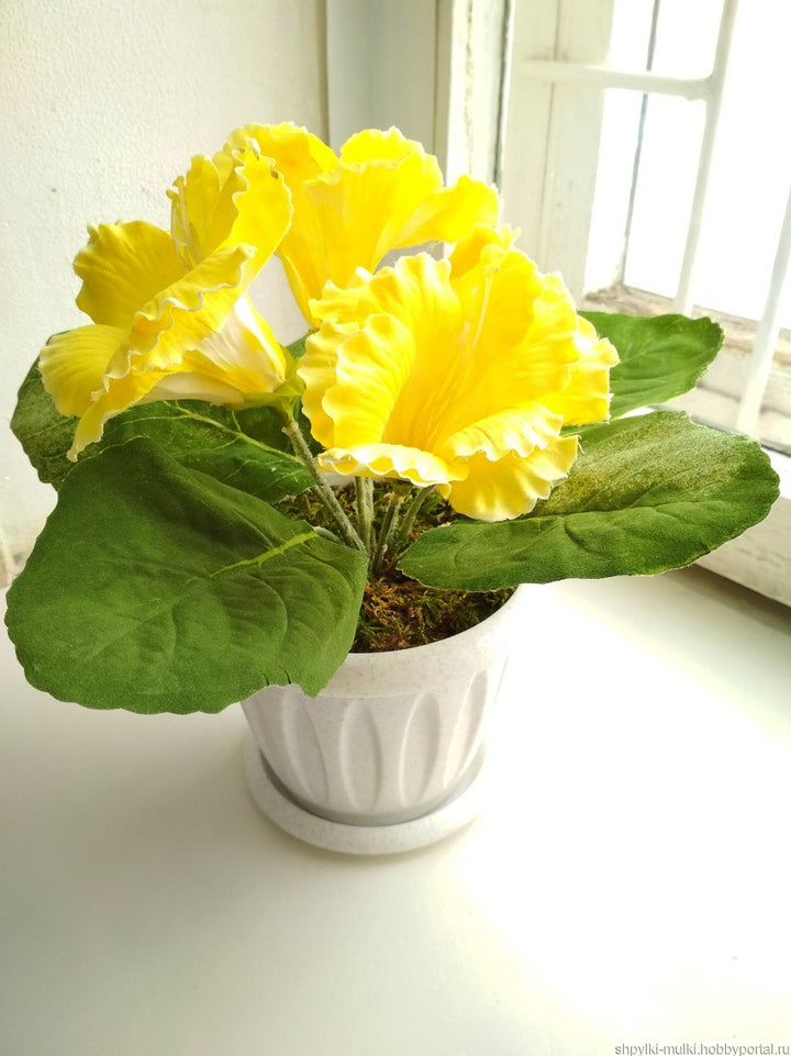 Light Yellow Gloxinia Flower Seeds – Cut Flower Favorite, Heirloom &amp; Non-GMO for Home Garden