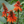 Arborescens Herb Seeds for Planting – Heirloom, Non-GMO Seeds Ideal for Beginner Gardeners