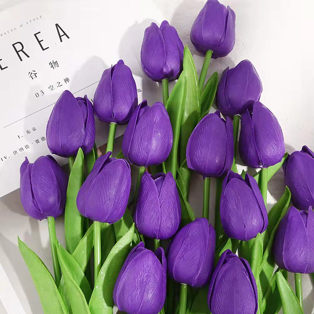 Dark Purple Tulip Flower Seeds for Planting – Heirloom, Non-GMO, High Germination Organic Garden Seeds