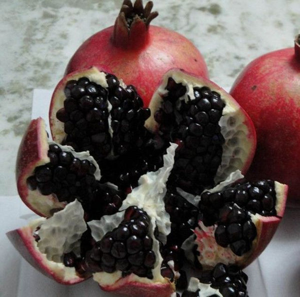 Black Pomegranate Fruit Seeds – Heirloom, Non-GMO Seeds for Decorative Garden Fruit Planting