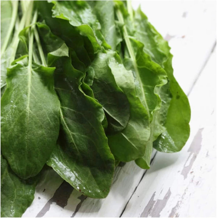 Herb Seeds,Garden seeds, Seeds For Planting,Plant Seeds