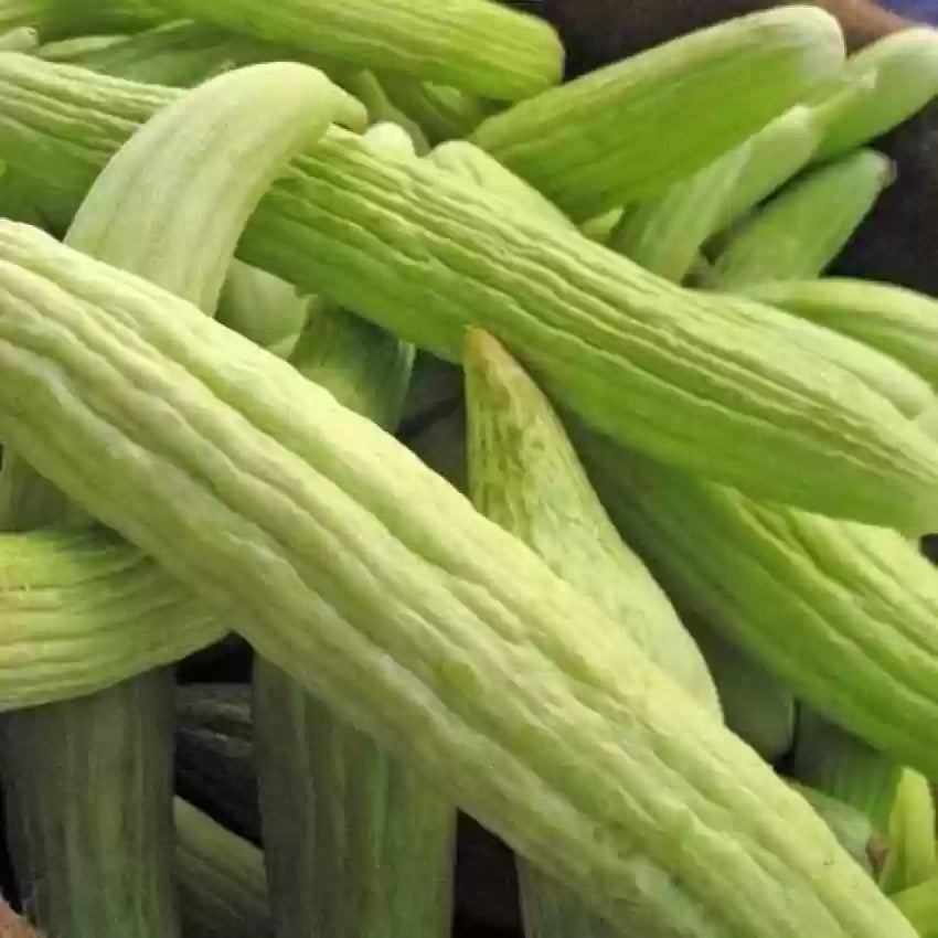 Vegetable Seeds,Garden seeds, Seeds For Planting,Plant Seeds